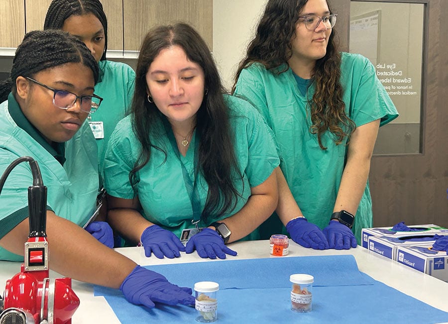Healthcare Students
