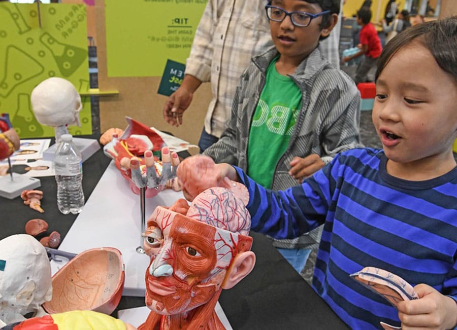 The Lamach Family STEM Laboratory